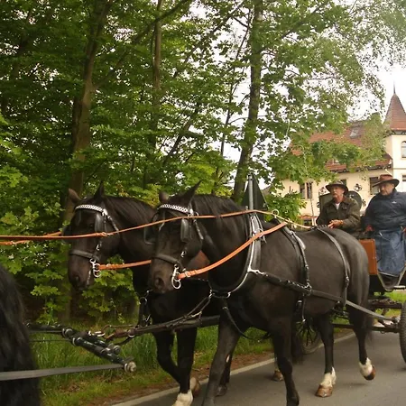 Gasthof Schwarzes Ross Arnsdorf (Arnsdorf, Bautzen)